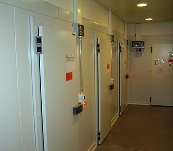Tech Building